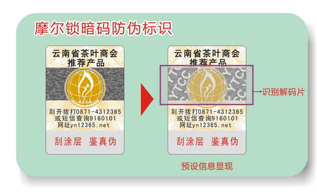激光午夜成人视频在线观看标签