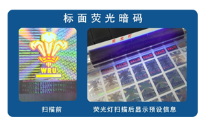 化学午夜成人视频在线观看