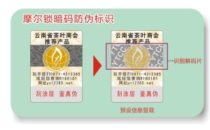 激光午夜成人视频在线观看标签